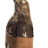 Animal taxidermisé